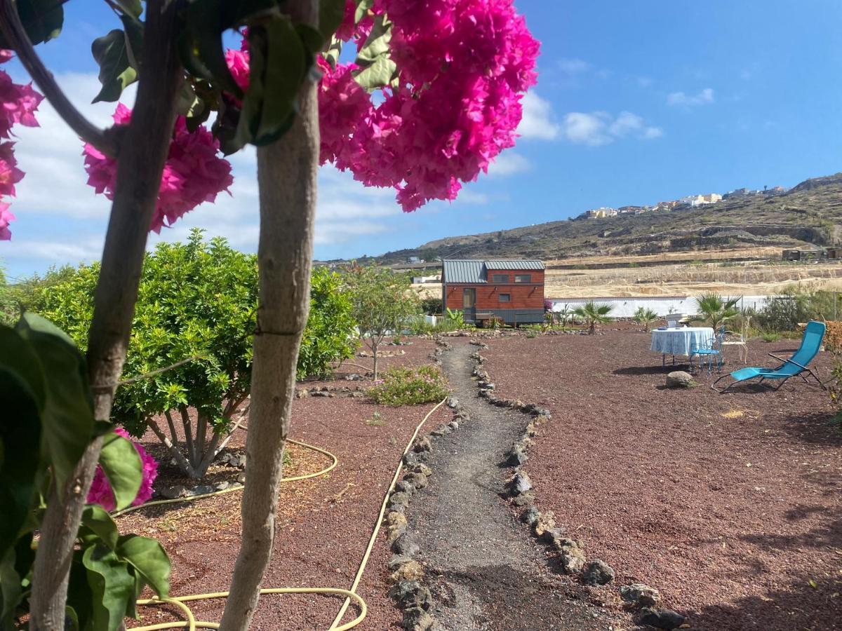 Mini Casa Finca Arcoiris Tenerife เกีย เด อิโซรา ภายนอก รูปภาพ