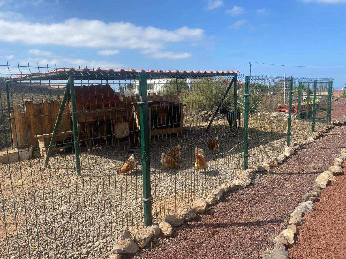 Mini Casa Finca Arcoiris Tenerife เกีย เด อิโซรา ภายนอก รูปภาพ